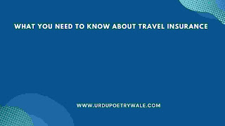 What You Need To Know About Travel Insurance