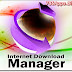 Internet Download Manager 6.23 Build 16 Final Update For Windows