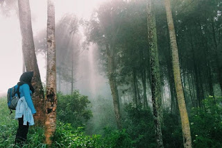 Bumi Perkemahan Rancaupas