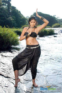 http://sexyactresspark.blogspot.com,sexy actress pictures,lekshmi rai