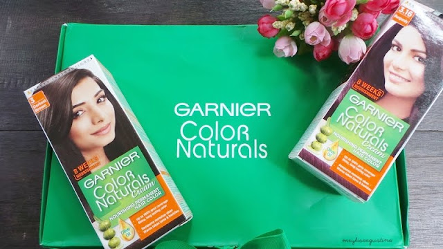  Garnier  Color Natural Review Mythbuster meylisa agustina