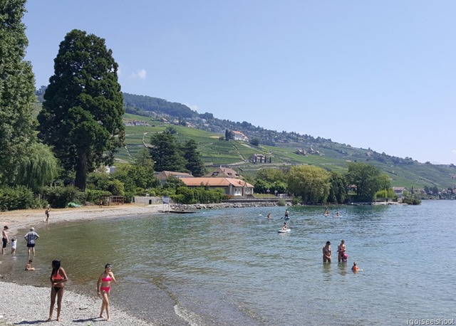 A lakeside park at Lutry is a good swimming spot with changing rooms, shady trees and sandy beaches. A lakeside park at Lutry is a good swimming spot with changing rooms, shady trees and sandy beaches.