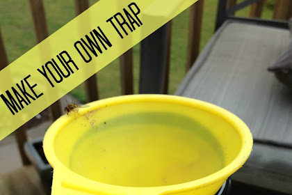 Diy Wasp Trap