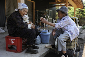 A grandma and her cat are best friends, Misa and Fukumaru, odd eyed cat