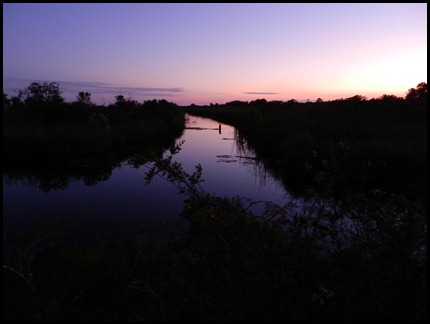 DSCN0033