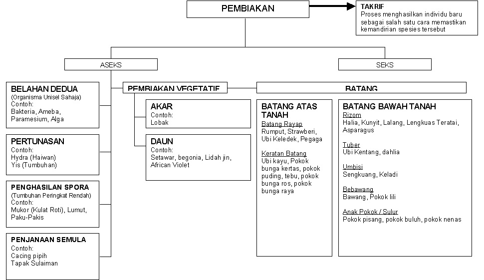 SAINS TINGKATAN 3: PETA MINDA PEMBIAKAN ASEKS