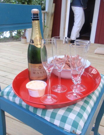 Midsommar 2011 026