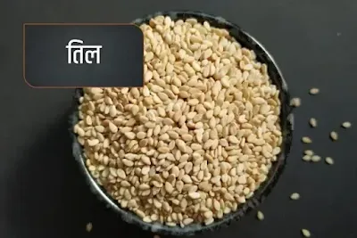 sesame seeds are common spice name used in Indian cuisine