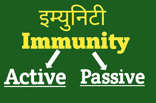 immunity, active immunity, passive immunity, immunity types