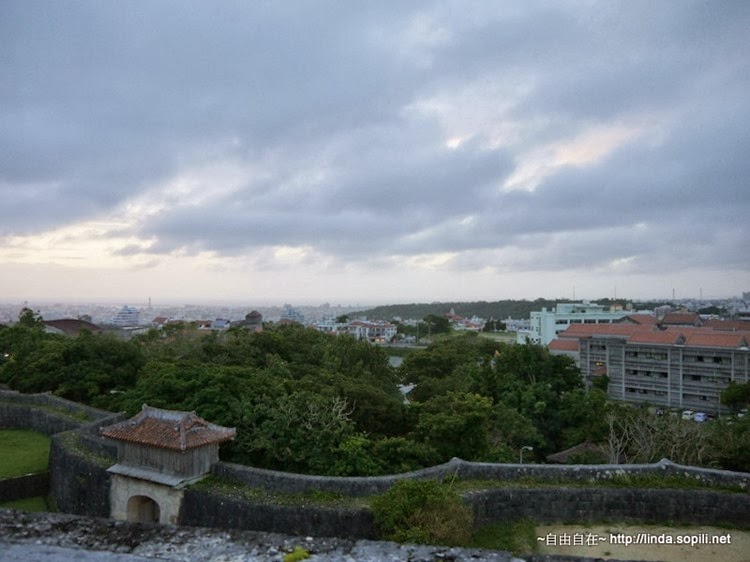 P1070769