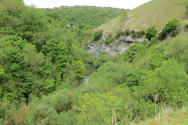 A glimpse of the river and crags from above, looking down into the tree-covered gorge.