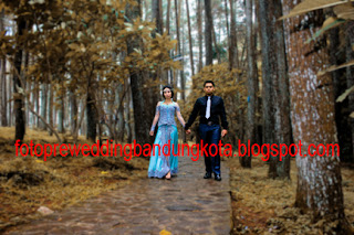 prewedunik