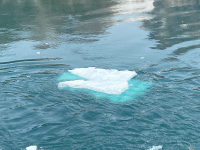 icebergs in Prince Christian Sound, Greenland