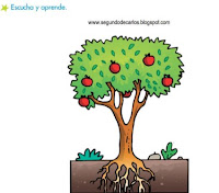 http://www.primerodecarlos.com/SEGUNDO_PRIMARIA/enero/tema1/actividades/CONO/partes_plantas.swf