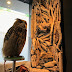 [Hostel Review] Tokyo's First Owl Hotel - Meeting Hachi the Owl at WISE OWL HOSTELS TOKYO