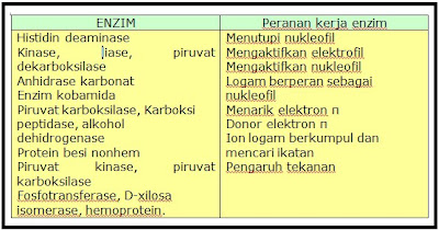 ENZIM DAN KARAKTERNYA  Berita Biologi