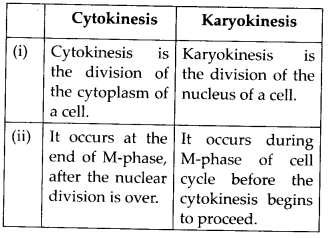 Solutions Class 11 Biology Chapter -10 (Cell Cycle and Cell Division)