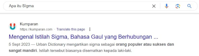 Tips SEO untuk Search Description Blogger