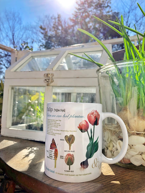 Designed a mug of tulips that were actually blooming in our ​garden and butterflies that were flying in the garden.