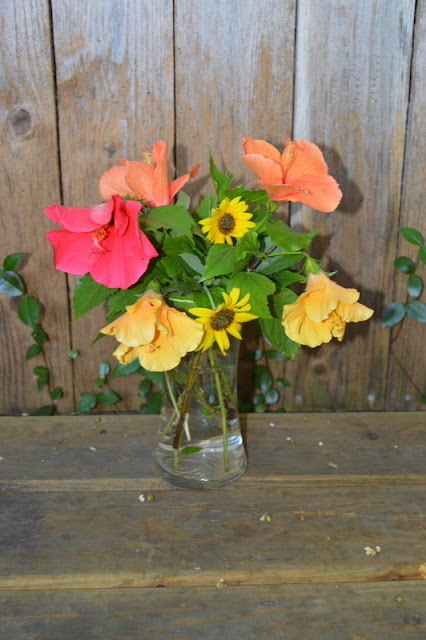 texas wildflowers for birthday