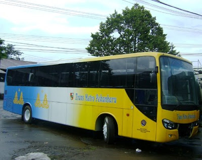 Bus Trans Metro Untuk Pekanbaru