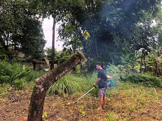 Petani Milenial Kampung KB Gumulan Petani Milenial Kampung KB Gumulan