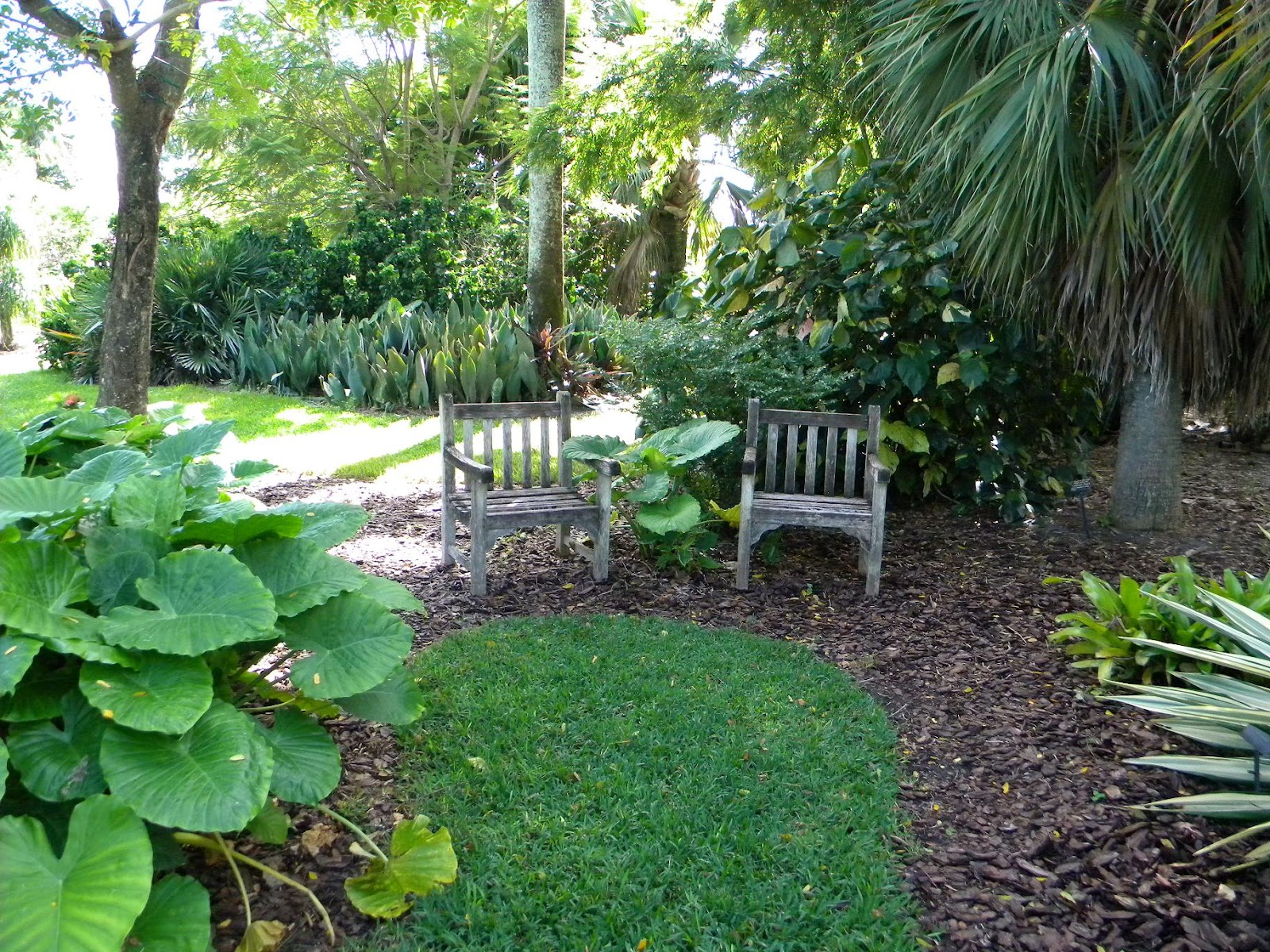 Palm Beach Landscaping