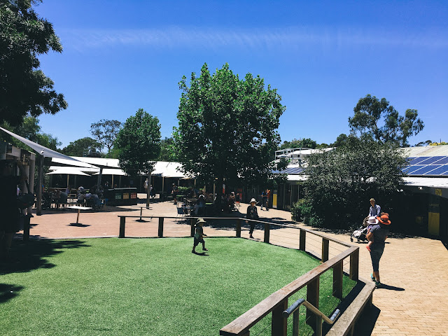 メルボルン動物園（Melbourne Zoo）