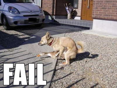 Funniest Epic Fail Pictures