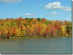 Fall
