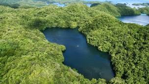 Danau Paling Unik Di Indonesia