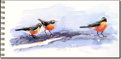am robins sm