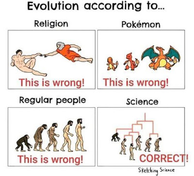 Cartoon explaining Evolution - meme