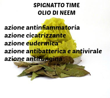 olio di neem, olio di neem proprietà cosmetiche