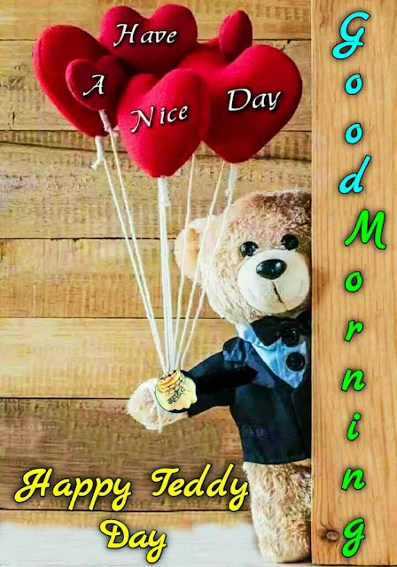 Teddy Day Images For Whatsapp