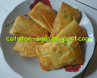 RESEP MARTABAK TELOR SEDERHANA