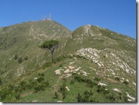 monte Fasce