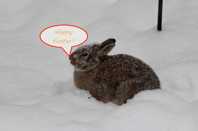 a snow-bound Easter Bunny