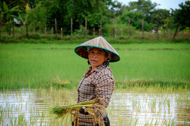 O que visitar em Hoi An, Roteiro Hoi An, Roteiro Vietname