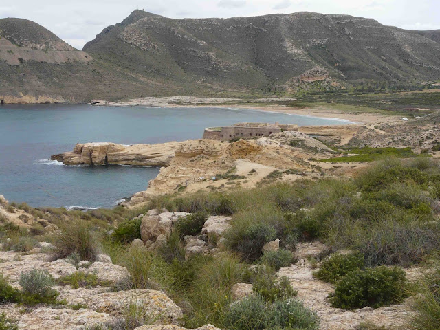 Calilla del Playazo Cabo de Gata