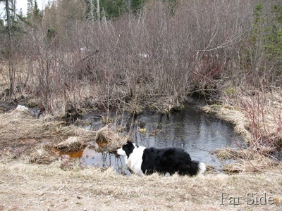 West Photo Sunday Stills
