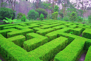 Wisata Labirin Coban Rondo Malang