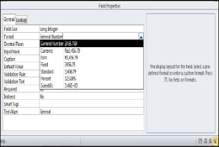 Field Properties pada Table Design Access