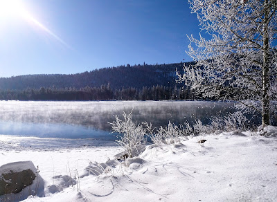 Peaceful calm at a snowy lakeside shore with a snow-glistening tree on the side and the hint of sunshine in a distant corner