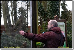 Tropical Birdland - variable light