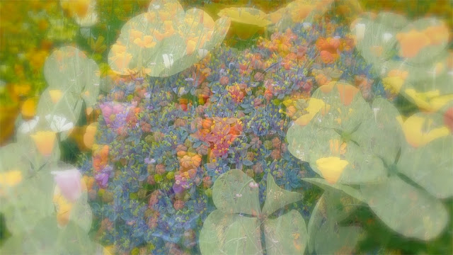 summer flowers double exposure