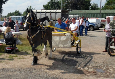 Brigg Horse Fair 2021 held on August 5th - the traditional date. Picture by Nigel Fisher's Brigg Blog with report