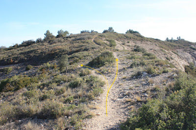 CABRA DEL CAMP-COLL DE SÀRRIA-ROC DEL COGULLÓ-EL COGULLÓ-PUIG DE COMAVERD-COLL DE VALLS, Camí des del Coll de Sàrria al Roc del Cogulló o GR-175 i corriol al Cogulló