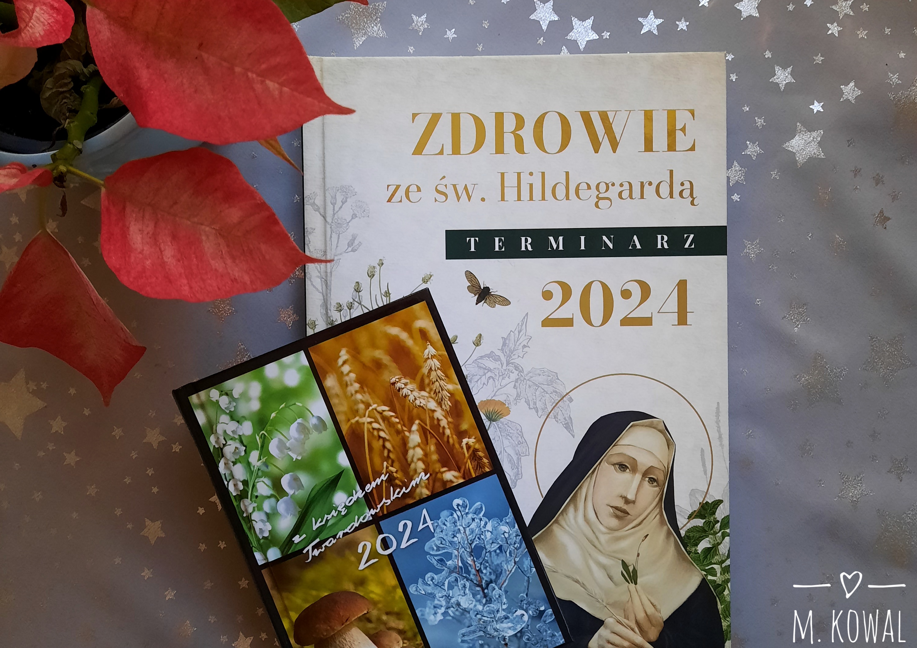 Zdrowie ze św. Hildegardą