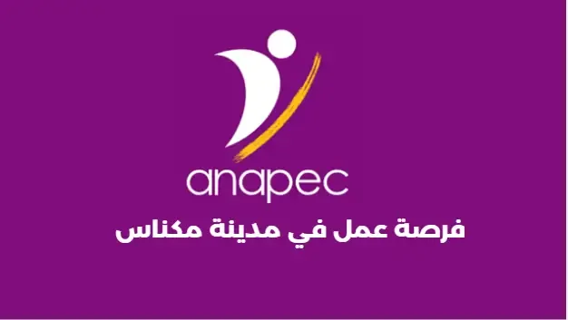 فرصة عمل في مدينة مكناس
